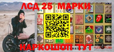 прущие грибы Шахты