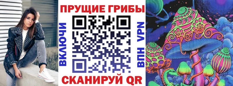 ссылка на мегу   Нерюнгри  Галлюциногенные грибы Psilocybe 