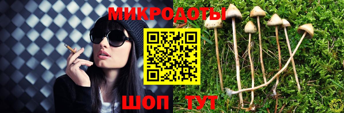 Нерюнгри  Галлюциногенные грибы Cubensis  дарнет шоп  Вход с VPN  Галлюциногенные грибы MAGIC MUSHROOMS 