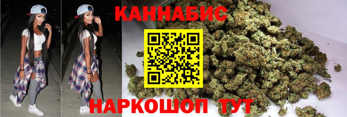 Бошки Шишки планчик Нерюнгри